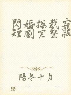 闪婚总裁宠上天短剧完整版免费看