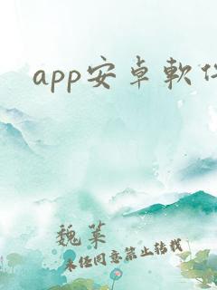 app安卓软件