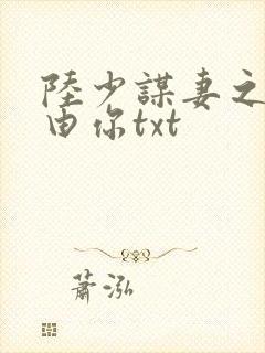 陆少谋妻之婚不由你txt