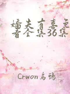 娇夫有喜免费观看全集36集