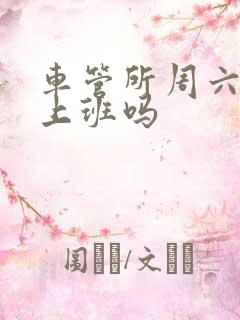 车管所周六周天上班吗