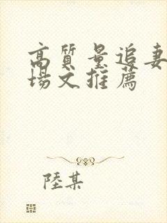 高质量追妻火葬场文推荐