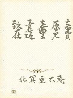 致青春原来你还在这里免费看