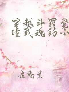 穿越斗罗觉醒重瞳武魂的小说