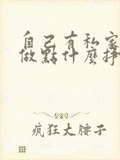 自己有私家车能做点什么挣钱