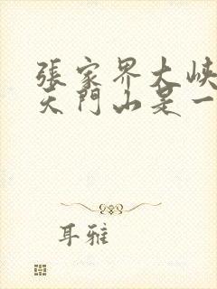 张家界大峡谷跟天门山是一个景区吗