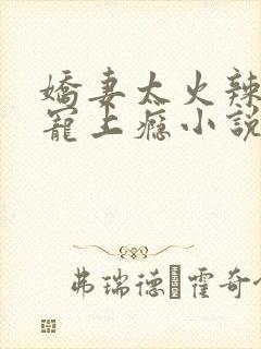 娇妻太火辣总裁宠上瘾小说全文阅读