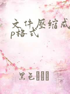 文件压缩成zip格式