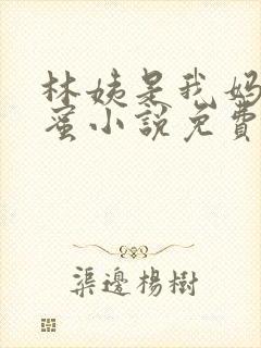 林姨是我妈妈闺蜜小说免费阅读全文