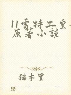 11处特工皇妃原著小说