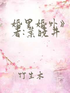 婚里婚外》 作者:叶晓井