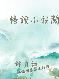 畅读小说阅读器