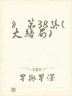 》 第38集(大结局)