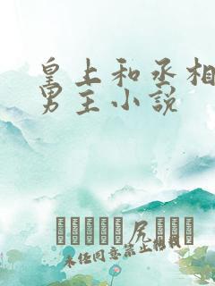 皇上和丞相的双男主小说