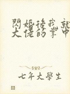 闪婚后我就成了大佬的掌中之物