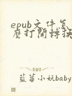 epub文件怎么打开转换为pdf格式