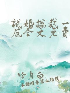 试婚总裁一宠到底全文免费阅读