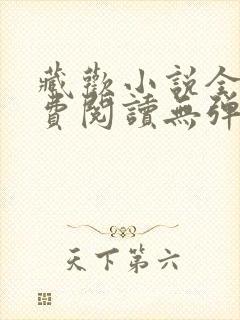 藏欢小说全文免费阅读无弹窗