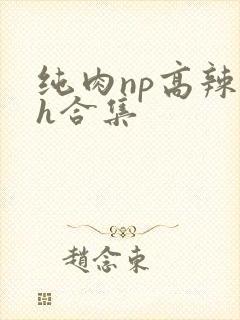 纯肉np高辣文h合集