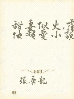 甜妻似火,霍爷他超爱小说