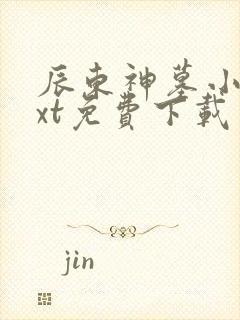 辰东神墓小说txt免费下载