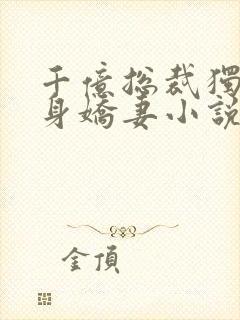 千亿总裁独宠替身娇妻小说