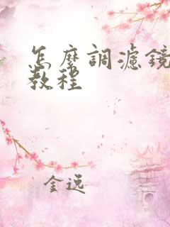 怎么调滤镜好看教程