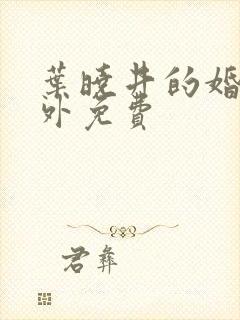 叶晓井的婚里婚外免费