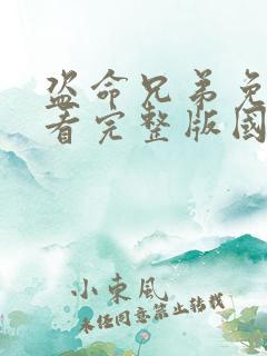 盗命兄弟免费观看完整版国语1080