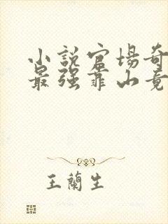 小说官场奇才:最强靠山竟是我自己李澜在