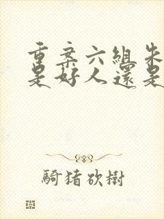 重案六组朱子峰是好人还是坏人