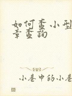 如何查小型车违章查询