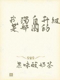 我独自升级漫画是哪国的