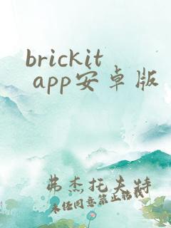 brickit app安卓版