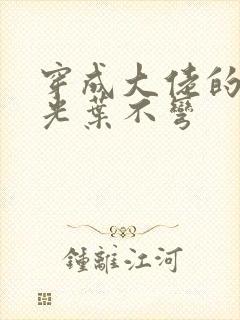 穿成大佬的白月光叶不弯