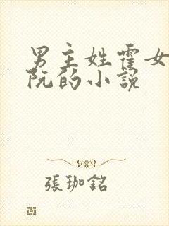 男主姓霍女主姓阮的小说