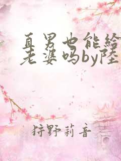 直男也能给人当老婆吗by陆酌言小说免费阅读