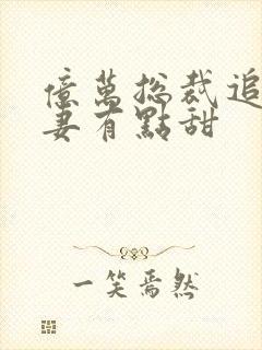 亿万总裁追妻鲜妻有点甜