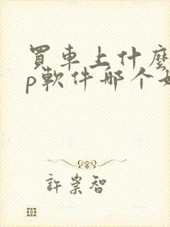 买车上什么app软件哪个好