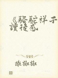 《骆驼祥子》 读后感