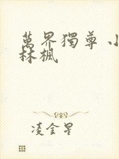 万界独尊 小说林枫