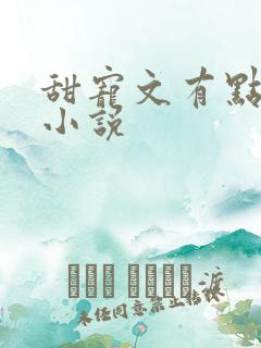 甜宠文有点肉的小说