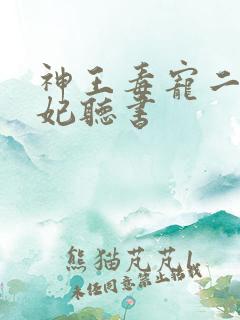 神王毒宠二嫁王妃听书