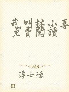 我叫林小喜小说免费阅读