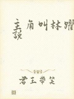 主角叫林跃的小说