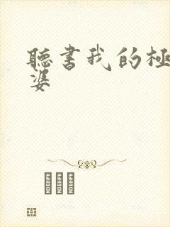 听书我的极品老婆