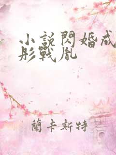 小说闪婚成宠海彤战胤