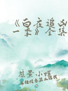 《白夜追凶 第一季》全集免费观看