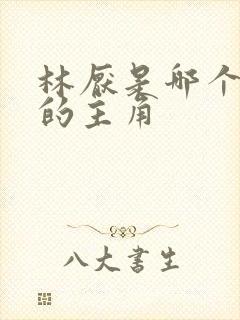 林厌是哪个小说的主角