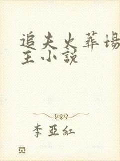 追夫火葬场双男主小说